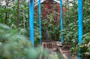 Kışın garaj kapısının yanına park edilmiş bir arabanın ayrıntıları. Seçici odak.