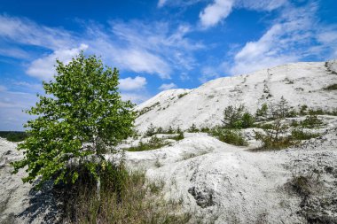 Beyaz, ıssız tepeler fosfogypsum 'un kimyasal atıklarından oluşur. Doğanın kirliliği.