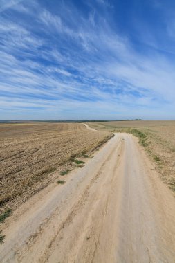 Toprak yolun sonbahar manzarası tarımsal tarlaların arasından geçiyor, inanılmaz mavi gökyüzünün arka planı. Boşluğu kopyala.