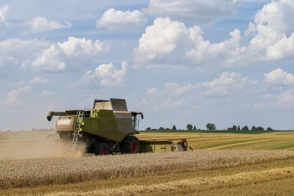 Buğday tarlası ekinleri üzerinde çalışan hasatçıyı birleştirin.