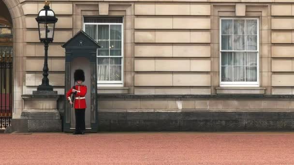 London Anglia Egyesült Királyság 2015 Szeptember Egy Őrszem Dobozban Buckingham — Stock videók