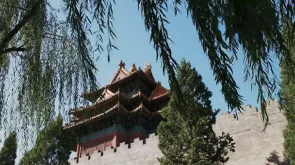 Forbidden City Tower Beijing China Framed Willow Trees — Stock Video