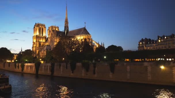 Vue Sur Cathédrale Notre Dame Senne Paris — Video