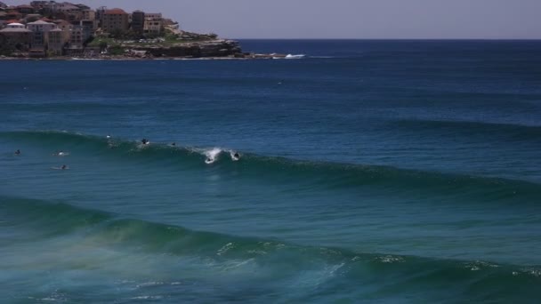 ボディー ボード サーファーはシドニー オーストラリアのボンダイビーチで波に乗る — ストック動画