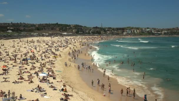 Ampla Vista Famosa Praia Bondi Sydney Austrália — Vídeo de Stock