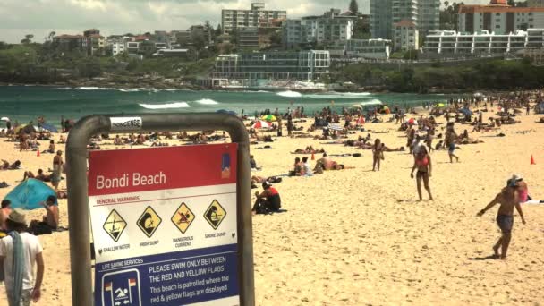 Sydney Australia Enero 2016 Vista Sur Playa Bondi Sydney Cartel — Vídeo de stock