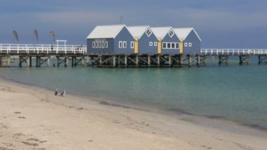 Busselton, Batı Avustralya, Avustralya-9 Kasım 2015: geniş görüş Batı Avustralya'nın busselton jetty, Güney yarımkürede en uzun İskelesi ve iki karabatak sahilde