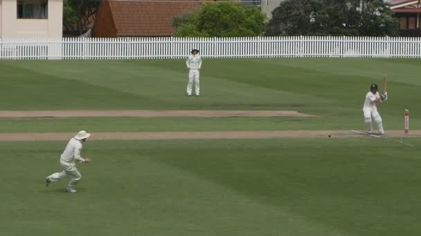 澳大利亚悉尼 击球手在一场板球比赛中打出拉射 — 图库视频影像
