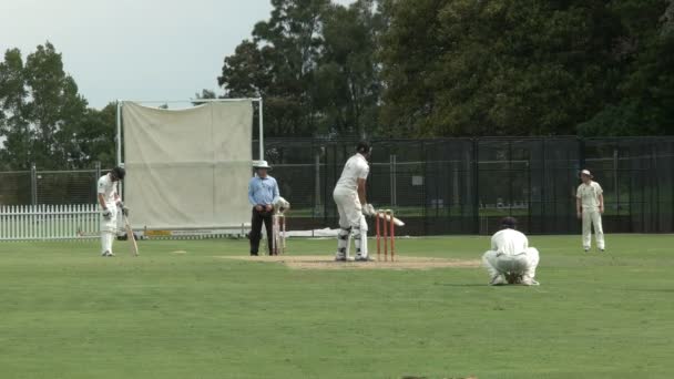 Sydney Ausztrália 2016 Január Egy Spin Bowler Fellebbezések Lbw Sydney — Stock videók