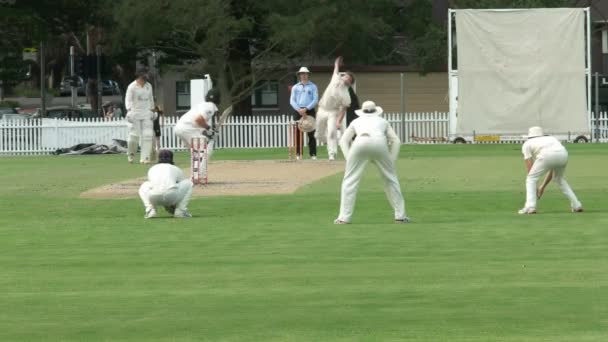 Sydney Australia Gennaio 2016 Retrovisore Battitore Una Partita Cricket Sydney — Video Stock