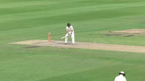 Sydney Australien Januari 2016 Cricket Slagman Spelar Defensiv Som Sköt — Stockvideo