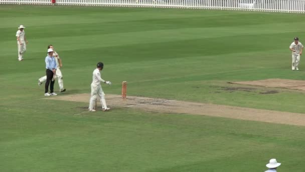 澳大利亚悉尼 在悉尼级的板球比赛中 快速保龄球手送球 — 图库视频影像