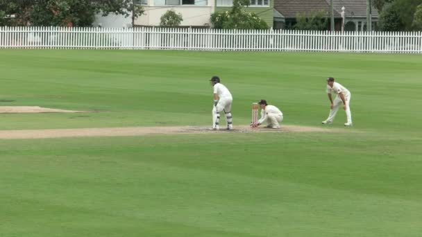 澳大利亚悉尼 一名球员在板球比赛中在中路门框处接球 — 图库视频影像