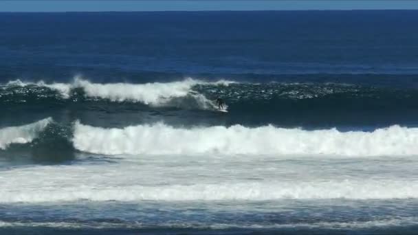 Surfare Rider Våg Det Berömda Stor Våg Läget Margaret River — Stockvideo