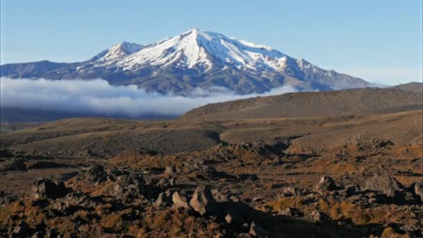 Tidig Morgon Tilt Upp Skott Mount Ngauruhoe Från Tongariro Kretsen — Stockvideo
