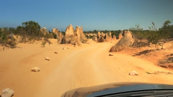 Gömbcsuklós Lövés Áthajtás Nambung Nemzeti Park Nyugat Ausztrália — Stock videók