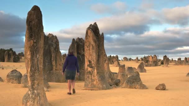 澳大利亚西澳大利亚州塞万提斯 2015年11月8日 游客们欣赏澳大利亚西部珀斯附近的尖顶 异常岩层 — 图库视频影像