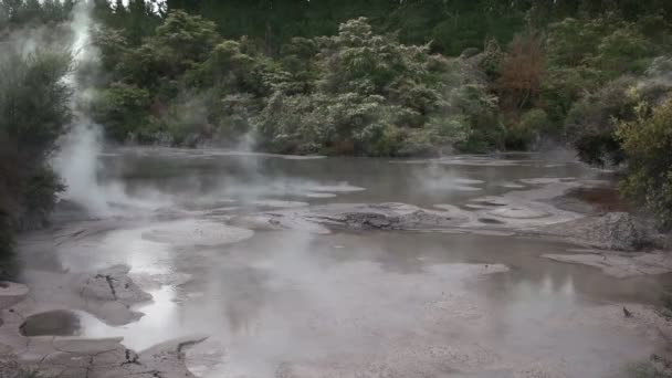 Széles Nézet Egy Forró Sárban Medence Közelében Rotorua North Island — Stock videók