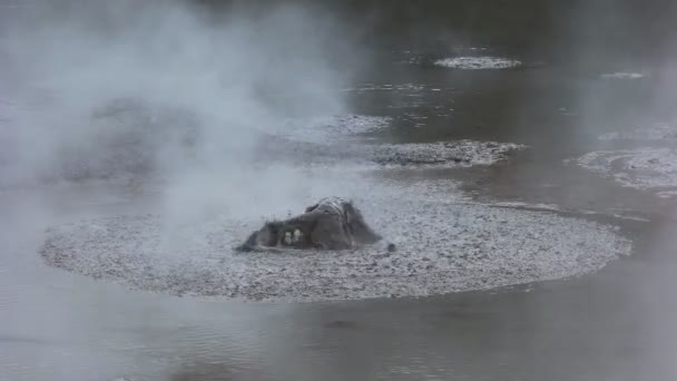ニュージーランドの北島のロトルア近く沸騰泥プールのクローズ アップ — ストック動画