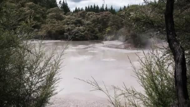 ニュージーランドの北島のロトルアでの茂みに囲まれた泥プールを沸騰 — ストック動画