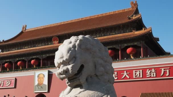 在北京天安门广场的禁城入口处关闭一只古老的石狮 — 图库视频影像