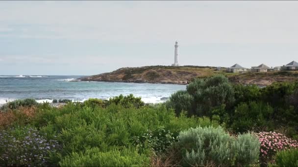 Parti Tavasszal Vadvirágok Nyugat Ausztrália Cape Leeuwin Világítótorony — Stock videók