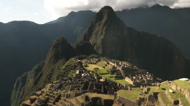Largo Tiro Llamas Pastando Las Ruinas Machu Picchu Perú — Vídeo de stock