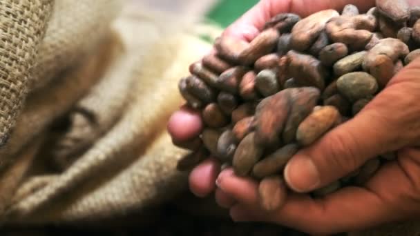 Una Mujer Inclina Granos Cacao Una Bolsa Cusco Perú — Vídeo de stock