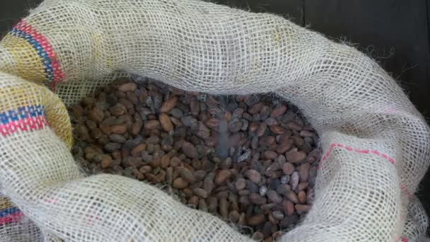 Primer Plano Granos Cacao Secos Cayendo Una Bolsa Hessiana Ecuador — Vídeos de Stock