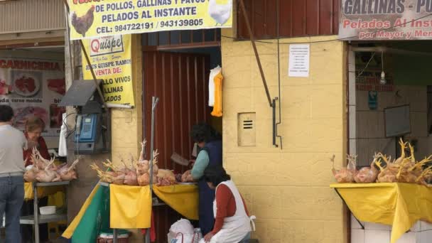 Cusco Peru June 2016 Woman Chops Raw Chicken Street Side — стоковое видео