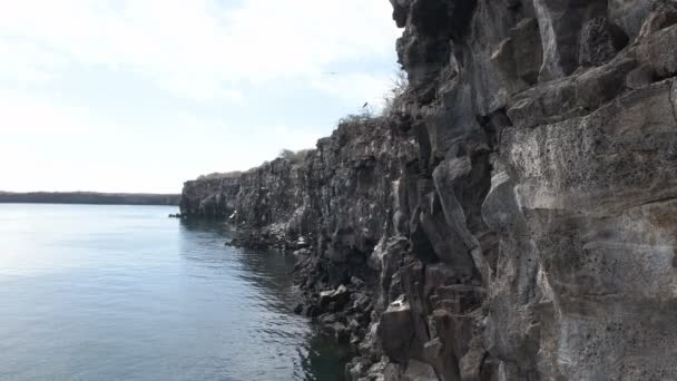 Kliffen Van Een Vulkanische Caldera Van Prins Philip Stappen Isla — Stockvideo