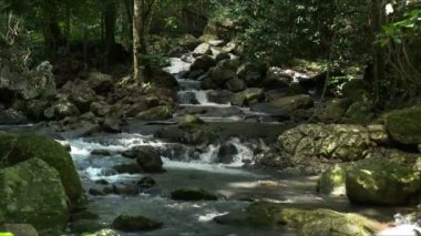 Bahar Çayı Milli Parkı içinde doğal köprü Creek'te yağmur ormanları