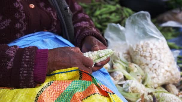 Side View Peruvian Woman Taking Giant Corn Kernels Cob Street — Stock Video