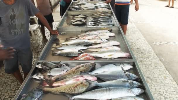 在巴西里约热内卢的科帕卡巴纳海滩上出售的新鲜捕获的鱼 — 图库视频影像