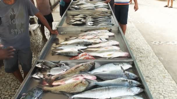 リオデジャネイロ ブラジルのコパカバーナビーチの市場で販売のための新鮮な魚 — ストック動画