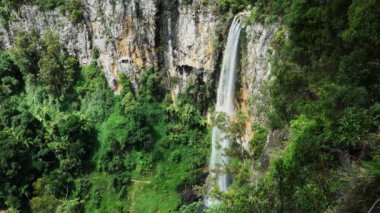 gold coast hinterland Bahar Çayı milli park'ın purlingbrook şelale