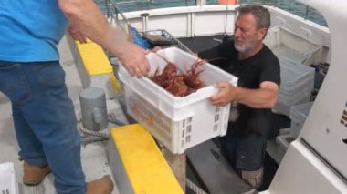 St Helens, Tazmanya, Avustralya - 14 Aralık 2015: geniş açı çekim balıkçıların cazibesin Güney rock ıstakoz st helens Tasmanya'nın Doğu sahillerinde, boşaltma