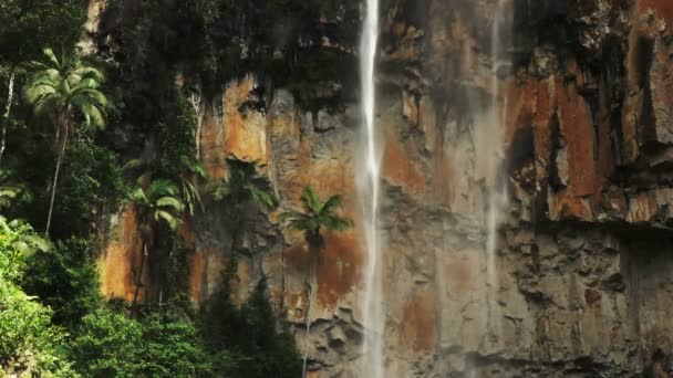 ヤシの木とゴールド コーストの内陸部にあるプォーリングブ滝のカーテン — ストック動画