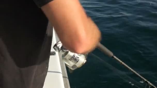 Rybak Używa Kołowrót Połowu Ryb Rejs Połowowy Karty — Wideo stockowe