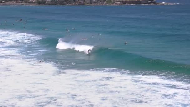 Surfista Monta Uma Onda Praia Bondi Praia Mais Famosa Austrália — Vídeo de Stock