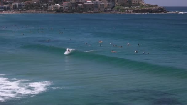 Bir Dalga Bondi Plajı Sydney Ünlü Plajı Nda Bir Sörfçü — Stok video