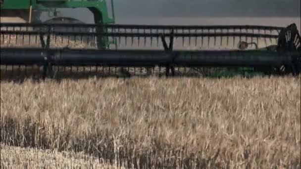 Close Header Cutter Bar Being Used Western Australian Grain Farm — Stock Video