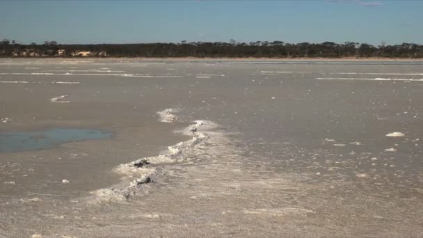 Zoom Colpo Una Formazione Saline Vicino Hyden Australia Occidentale — Video Stock