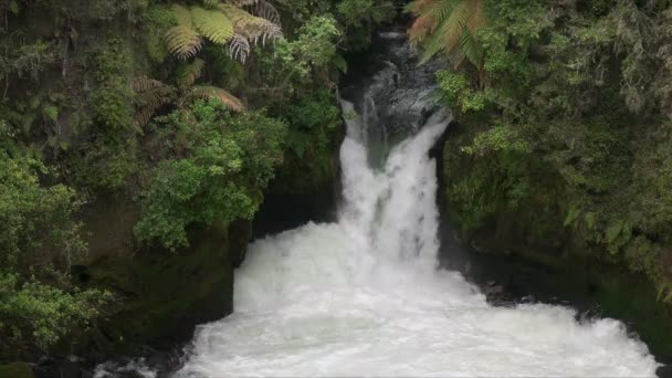 Whitewater Rafting Tutea Cai Ilha Norte Nova Zelândia Maior Cachoeira — Vídeo de Stock