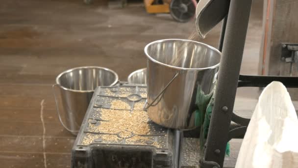 在澳大利亚塔斯马尼亚的燕麦厂 桶里装满了新鲜卷的燕麦 — 图库视频影像