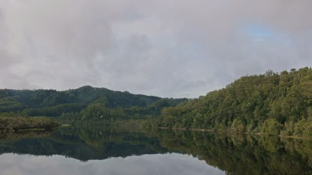 Una Vista Selva Tropical Reflexiones Crucero Por Río Gordon Costa — Vídeos de Stock