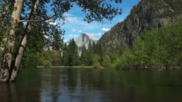 Våren Höga Vattennivåer Merced River Med Nationalparken Yosemite Halv Kupol — Stockvideo