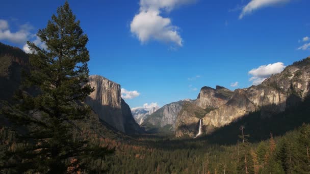 Close Pine Tree View Bridal Veil Falls Tunnel View Yosemite — Stock Video