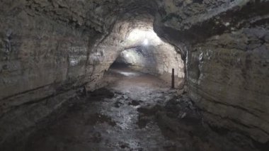 3 eksen gimbal Isla santa cruz galapagos Adaları, Ekvador'bir lav tüp yürürken vurdu