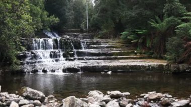 Tazmanya, Avustralya Melbourne yakınındaki liffey görünümünü cephesinde düşüyor